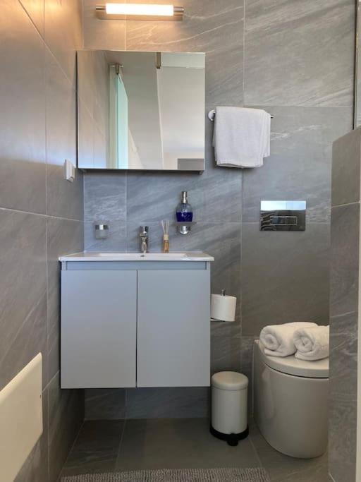 אתונה Luxury Maisonette With Shared Pool מראה חיצוני תמונה